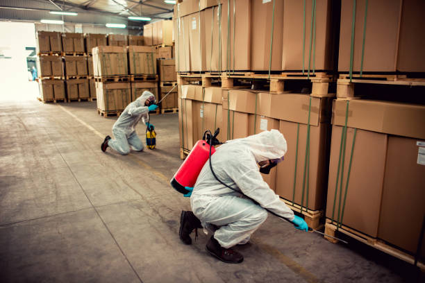 Best Exterminator Services  in Hollywood, SC