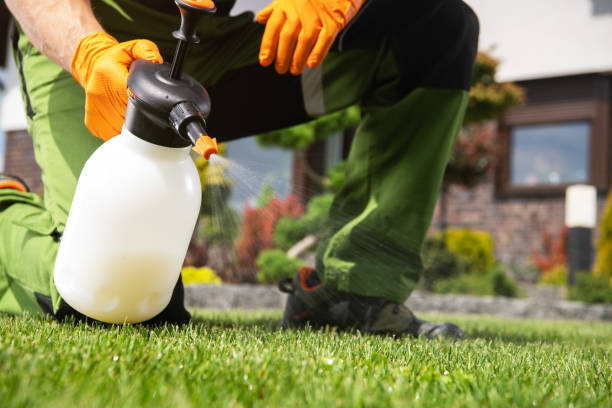 Best Emergency Pest Control  in Hollywood, SC