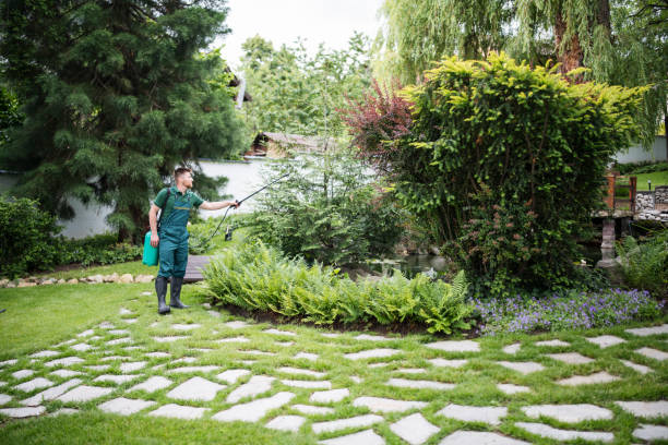 Best Pest Removal Services  in Hollywood, SC