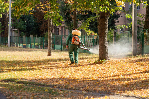 Trusted Hollywood, SC Pest Control Experts